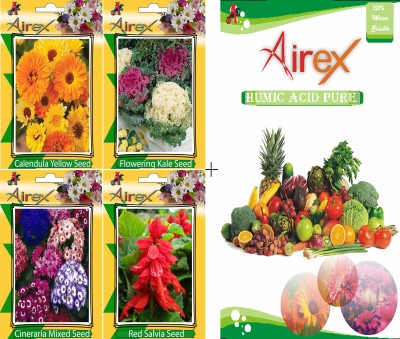 Airex Calendula Yellow, Flowering Kale, Cineraria Mixed, and Red Salvia Seed(20 per packet)
