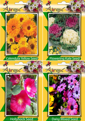 

Airex Calendula Yellow, Flowering Kale, Hollyhock, and Daisy Mixed Seed(25 per packet)