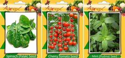 Airex Spinach, Cherry Tomato, Mint Seed(20 per packet)
