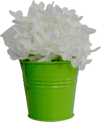 

HOB White, Green Assorted Artificial Flower with Pot(5.5 inch, Pack of 1)