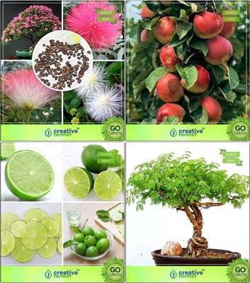 

Creative Farmer Bonsai Seeds : Bonsai Suitable Plant Seeds For Home Decoration Combo Albizia Lebbeck , Apple, Lemon, Acacia Mangium Garden Seeds Seed(10 per packet)