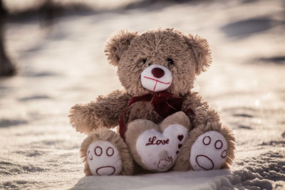 

Creative Wallpaper Soft toy bear cub with heart on LARGE PRINT 36X24 INCHES Photographic Paper(24 inch X 36 inch, Rolled)