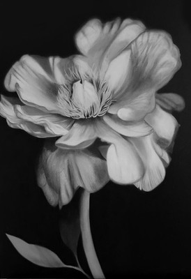

Digital Painting flower sketch Poster Wallpaper on fine art paper 13x19 Fine Art Print(19 inch X 13 inch, Rolled)