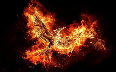 

The Hunger Games Mockingjay - Part 2 The Hunger Games HD Wallpaper Bac... Fine Art Paper Print Poster on fine art paper 13x19 Fine Art Print(19 inch X 13 inch, Rolled)