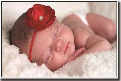 

New born baby with rose hair bandon fine art paper 13x19 Fine Art Print(19 inch X 13 inch, Rolled)