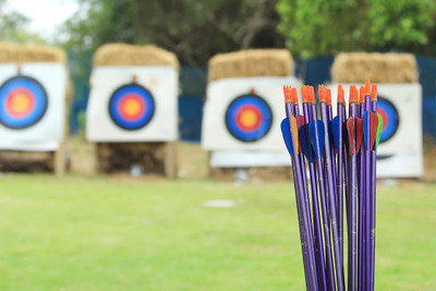 

Sports Archery Arrow Wall Poster Paper Print on LARGE PRINT 36X24 INCHES Photographic Paper(36 inch X 24 inch, Rolled)