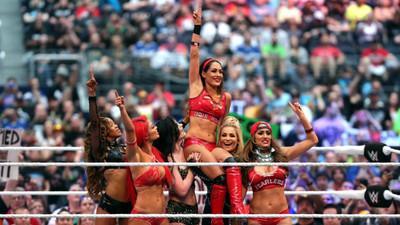 

Brie Bella Popular WWE Female Wrestler Photo poster on LARGE PRINT 36X24 INCHES Photographic Paper(36 inch X 24 inch, Rolled)
