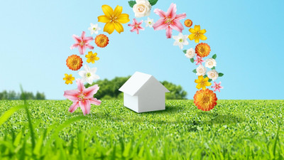 

flowers home environment poster on LARGE PRINT 36X24 INCHES Photographic Paper(24 inch X 36 inch, Rolled)