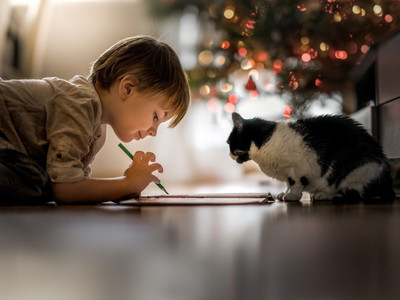 

People Children Little boy drawing with a cat on fine art paper 13x19 Paper Print(19 inch X 13 inch, Rolled)