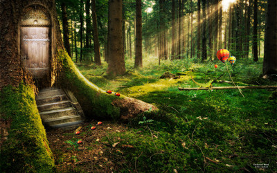 

enchanted forest wide poster on fine art paper 13x19 Fine Art Print(19 inch X 13 inch, Rolled)