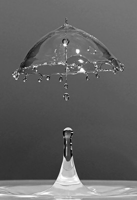 

Digital Painting water drop in umbrella shape Poster Wallpaper on LARGE PRINT 36X24 INCHES Photographic Paper(36 inch X 24 inch, Rolled)