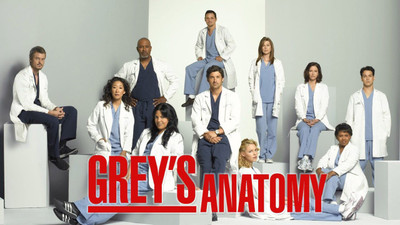 

TV Show Grey's Anatomy HD Wall Poster on fine art paper 13x19 Fine Art Print(19 inch X 13 inch, Rolled)