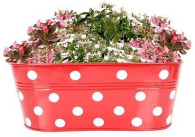 

Pyramid Cocopeat Pcp Mpo12 Plant Container Set(Metal)