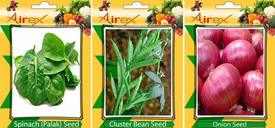 Airex Spinach, Gwarphali (Cluster Bean), Onion Seed(25 per packet)
