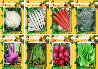

AIrex Cauliflower, Daikon, Red Carrot, Broccoli, Knol Khol Purple Viena, Drum Stick, Turnip Red Ball, and Spinach Seed(20 per packet)