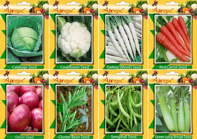 

Airex Cabbage, Cauliflower, Daikon, Red Carrot, Semphali, Green Long Brinjal, Onion, and Cluster Bean Seed(20 per packet)