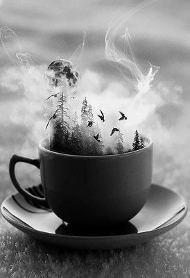 

Digital Painting good Environment in Morning Tea Cup Poster Wallpaper on fine art paper 13x19 Fine Art Print(19 inch X 13 inch, Rolled)
