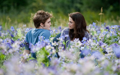 

Twilight Robert Pattinson Kristen Stewart on LARGE PRINT 36X24 INCHES Photographic Paper(36 inch X 24 inch, Rolled)