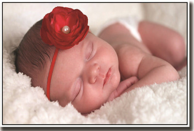 

New born baby with rose hair band Print Poster on LARGE PRINT 36X24 INCHES Photographic Paper(36 inch X 24 inch, Rolled)