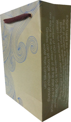

EVINCE GIFT BAGS eVincE GIFT PAPER BAG - 5 x 1 (6" X 7.5") Facts of WATER as PRECIOUS as your LOVE - SHARING IS THE STYLE PAPER Gift Wrapper(GREEN AND BLUISH)