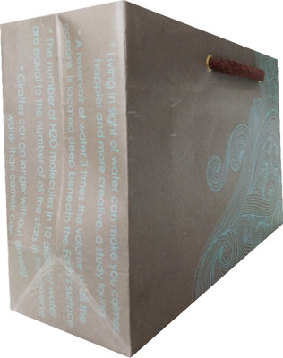 EVINCE GIFT BAGS eVincE Gift paper bag - 5 X 1 (9.5" X 6") Convenient size for daily needs, with interesting facts about WATER - AS PRECIOUS AS YOUR GIFTS PAPER Gift Wrapper(GREY N TEAL)