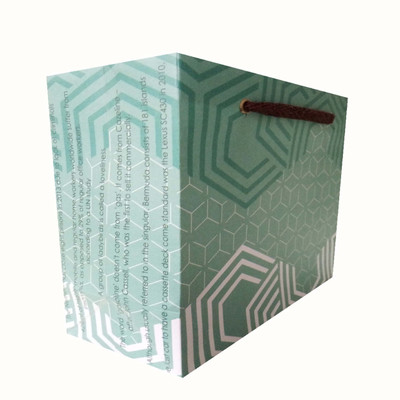 

EVINCE GIFT BAGS eVincE Gift paper bag - 5 X 1(6" X 6.5")Convenient for your gifting of small appreciations- geometric pattern with randam facts to enjoy PAPER Gift Wrapper(SEA GREEN)