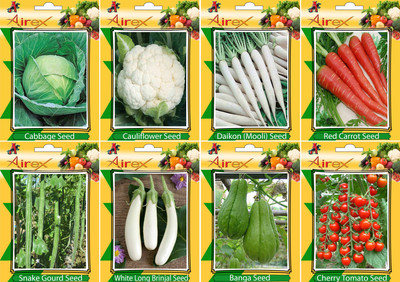 

Airex Cabbage, Cauliflower, Daikon, Red Carrot, Banga, Cherry Tomato, Snake Gourd, and White Long Brinjal Seed(15 per packet)
