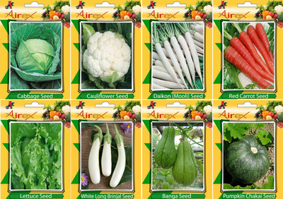 

Airex Cabbage, Cauliflower, Daikon, Red Carrot, Banga, Pumpkin, Lettuce, and White Long Brinjal Seed(20 per packet)