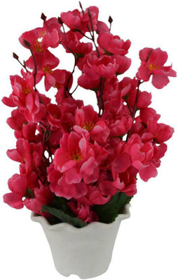 

paradise para-flw-42 Multicolor Magnolia Artificial Flower(12 inch, Pack of 1)