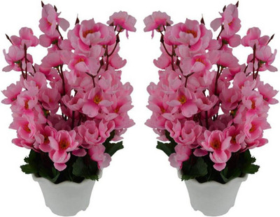 

paradise Pink Magnolia Artificial Flower with Pot(35 inch, Pack of 2)