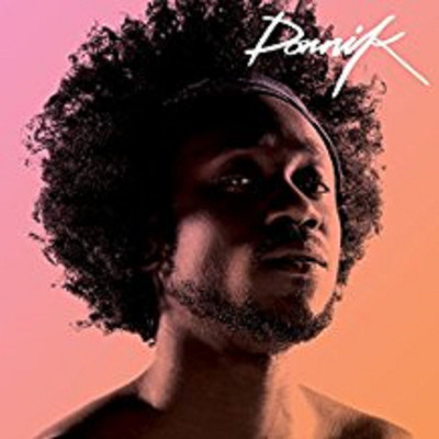 

DORNIK Vinyl Standard Edition(English - DORNIK)