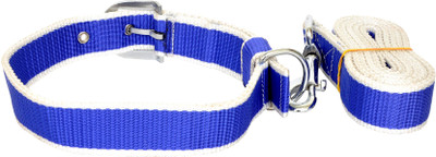 

Leather Craft Dog Collar & Leash(, Blue