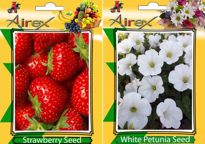 

Airex Strawberry, White Petunia Seed(15 per packet)