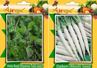 

AIrex Holy Basil (Shyama Tulsi), Daikon Seed(15 per packet)