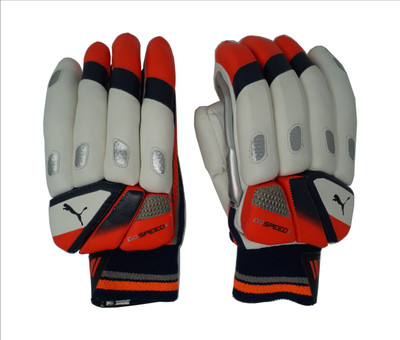 

Puma EVO SPEED 4 Batting Gloves (Men, Multicolor)