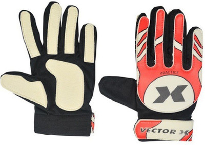 

Vector X Practice Goalkeeping Gloves (, Multicolor
