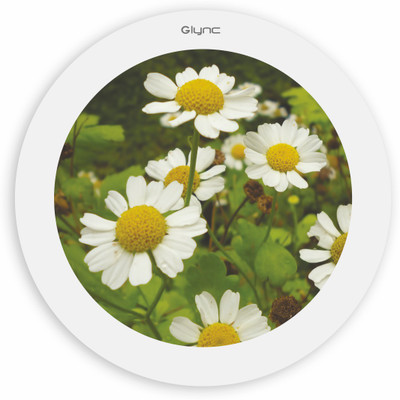 

GLYNC Picture Light Wall Lamp