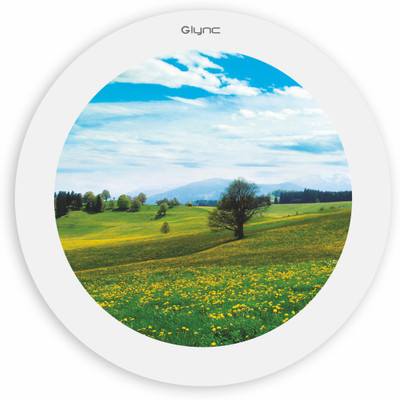 

GLYNC Picture Light Wall Lamp