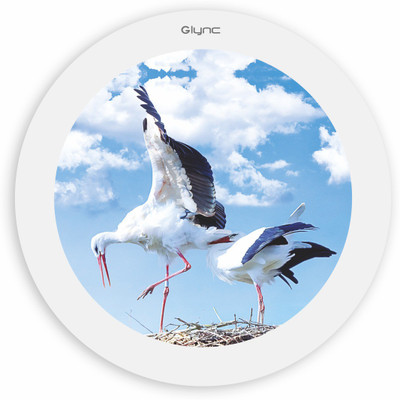 

GLYNC Picture Light Wall Lamp