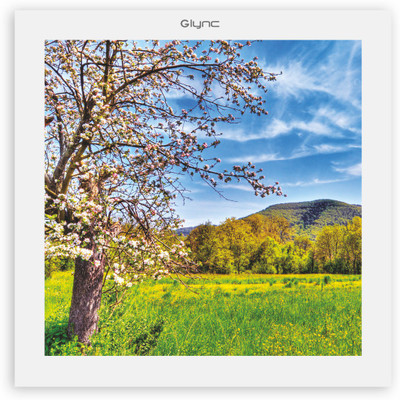 

GLYNC Picture Light Wall Lamp