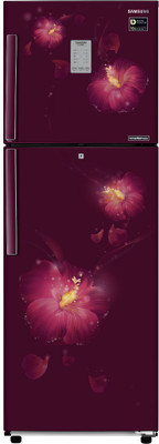 Samsung 253 L Frost Free Double Door 3 Star (2019) Refrigerator(Rose Mallow Pium, RT28M3983R3/HL)
