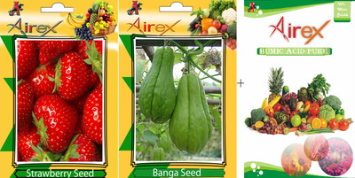 

Airex Strawberry, Banga Seed(20 per packet)