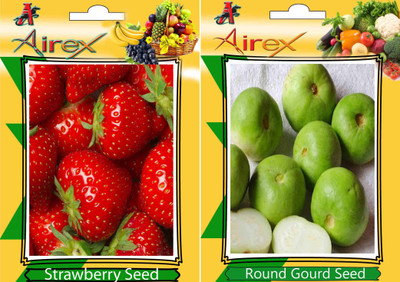 

Airex Strawberry, Round Gourd Seed(25 per packet)