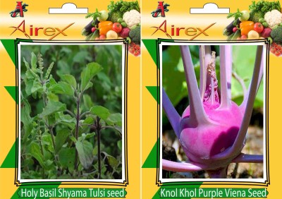 Airex Holy Basil (Shyama Tulsi), Knol Khol Purple Viena Seed(15 per packet)