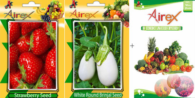 

Airex Strawberry, White Round Brinjal Seed(20 per packet)