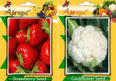 Airex Strawberry, Cauliflower Seed(25 per packet)