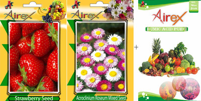 

Airex Strawberry, Acroclinium Roseum Mixed Seed(20 per packet)