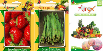

Airex Strawberry, Drum Stick Seed(20 per packet)