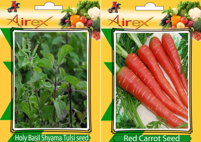 

Airex Holy Basil (Shyama Tulsi), Red Carrot Seed(20 per packet)
