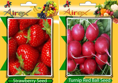 Airex Strawberry, Turnip Red Ball Seed(15 per packet)